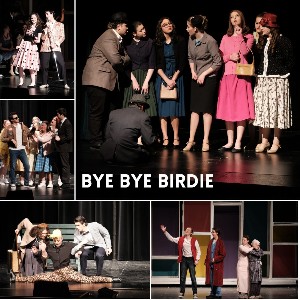 Collage of photos from Bye Bye Birdie
